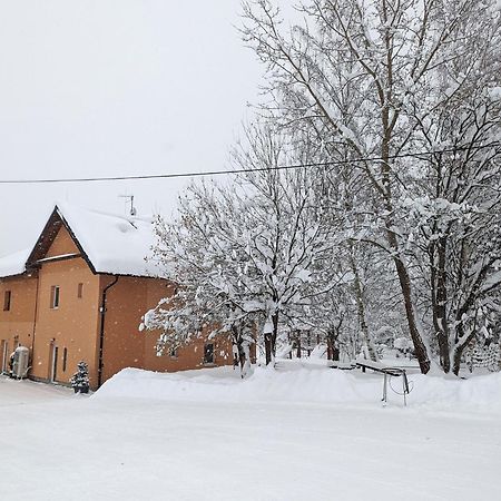 Apartments Nad Rybniky Horni Plana Exterior photo